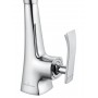 Смеситель для кухни WONZON & WOGHAND-коллекция TRIUMPH, Хром (WW-562101-CR)